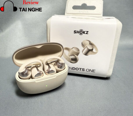 Shokz OpenDots One